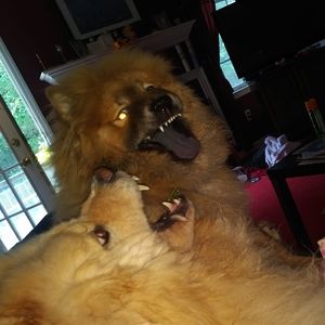 Meet your Posher, Kay